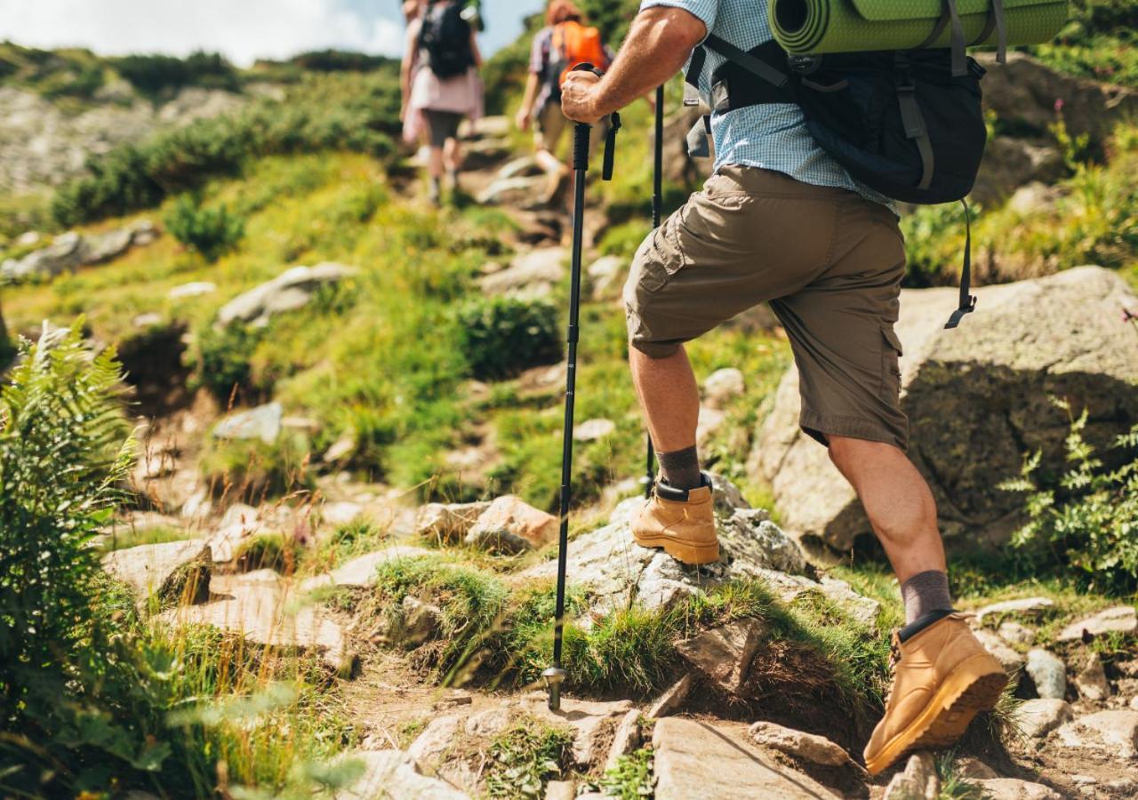 Greenhouse Living Apartment Fagus Mit Terrasse Und Feuerstelle - 6 Minuten Nach Winterberg - 4 Minuten Zur Ruhrquelle - Wandern - Mountainbike Fahren - Reisen Mit Hund & Natur Geniessen Medebach Bagian luar foto